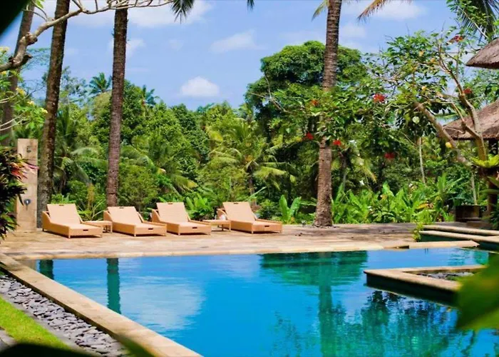 Indigo Tree Resort 3*
