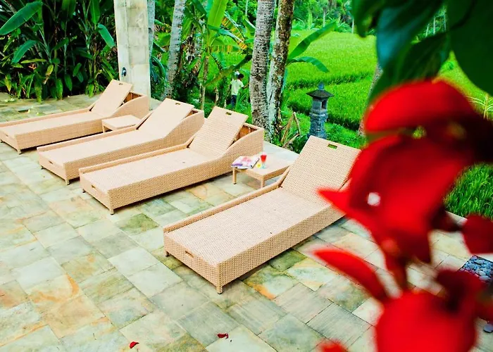 Resort Indigo Tree 3*