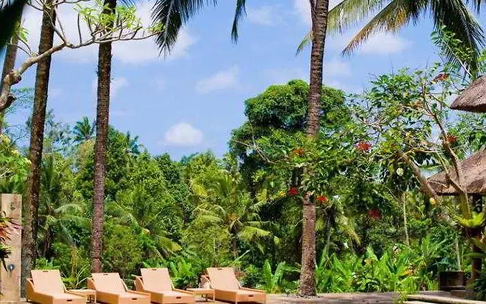 Indigo Tree Resort Ubud (Bali)