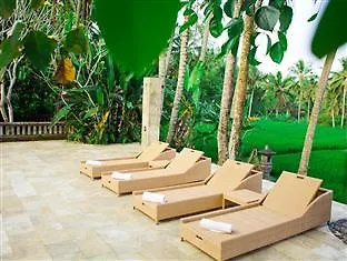 Indigo Tree 3* Ubud (Bali)